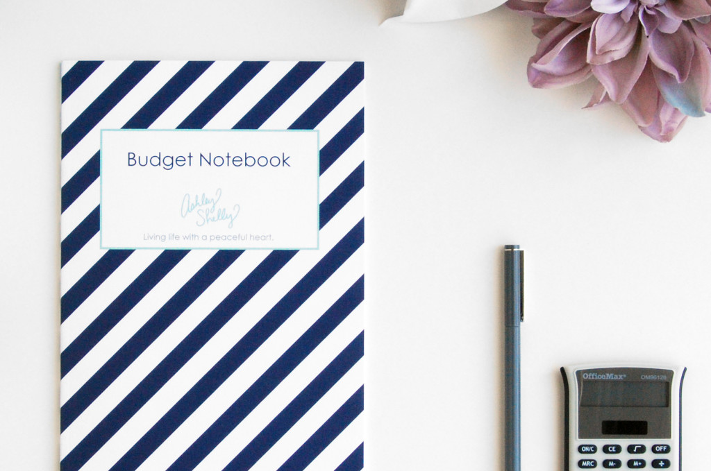 Ashley Shelly Budget Notebook