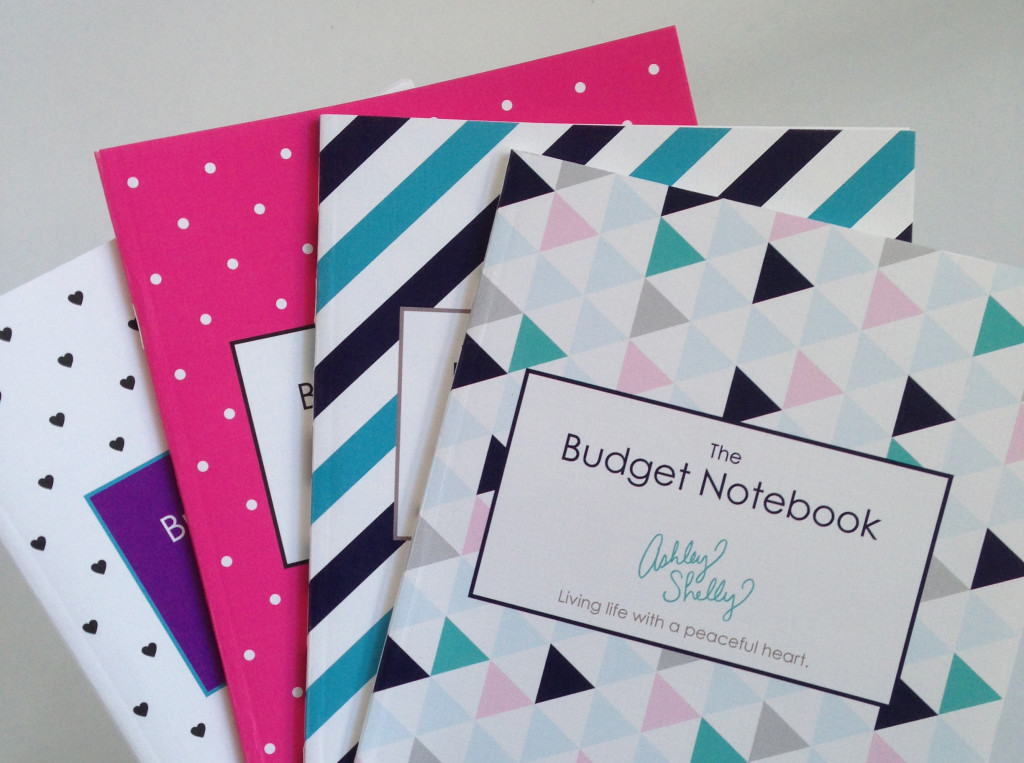 Ashley Shelly Budget Notebooks Spring 2015
