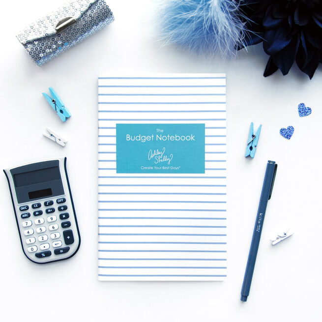ashley-shelly-budget-notebook-blue-pinstripe