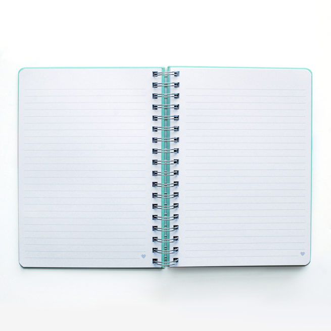 ashley-shelly-luxury-lined-notebook-lined-pages