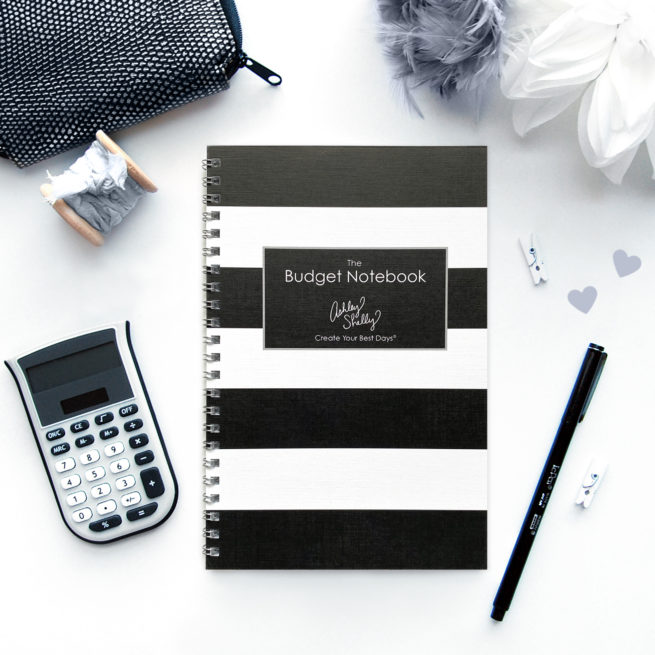 ashley-shelly-budget-notebook-black-stripe-twinloop