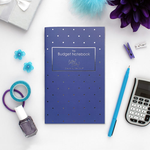 ashley-shelly-budget-notebook-periwinkle-dot