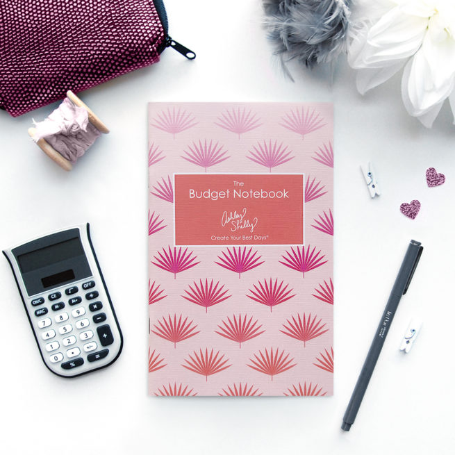 ashley-shelly-budget-notebook-pink-palms