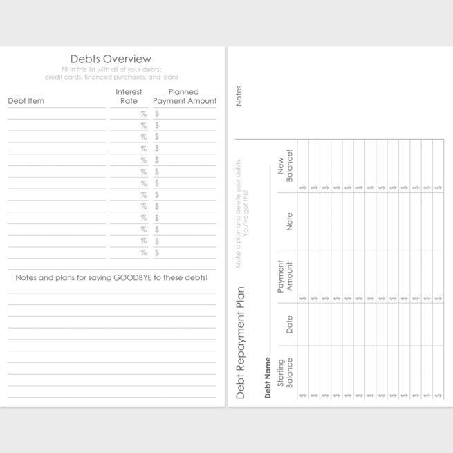 ashley-shelly-budget-notebook-gray-inside-pages-2